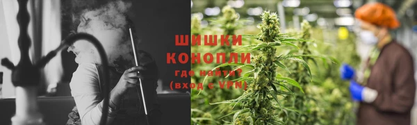 spice Алзамай