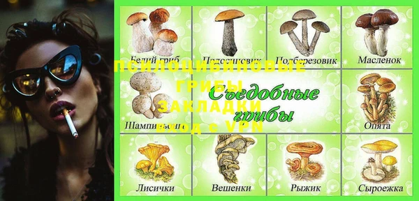 spice Алзамай