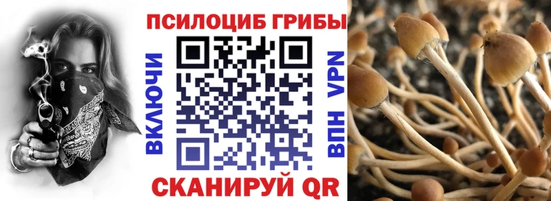 Галлюциногенные грибы GOLDEN TEACHER  купить наркотик  Палласовка 